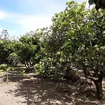 Le Stanze del vulcano Alloggio in famiglia