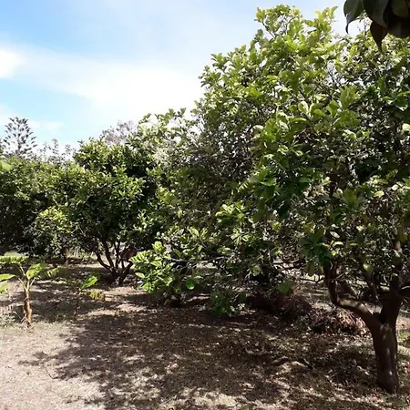 Le Stanze Del Vulcano Séjour chez l'habitant