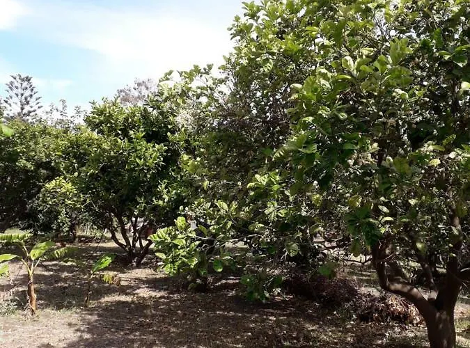 Casa Agrumeto Privat bolig